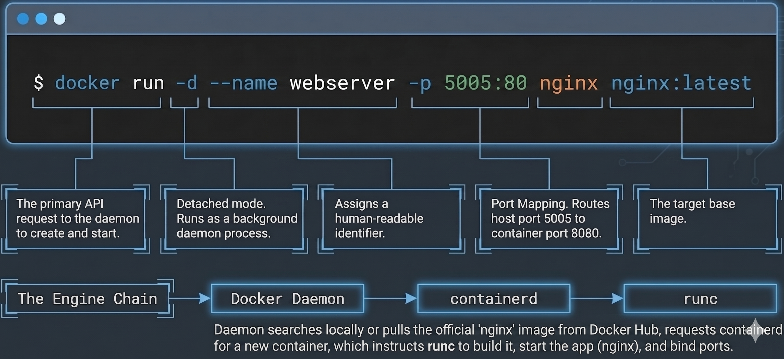 Docker Run